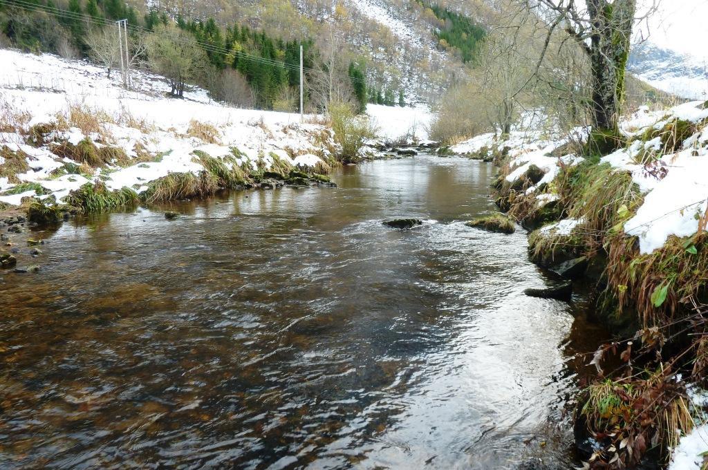 Røfsdalselva, typisk for store deler