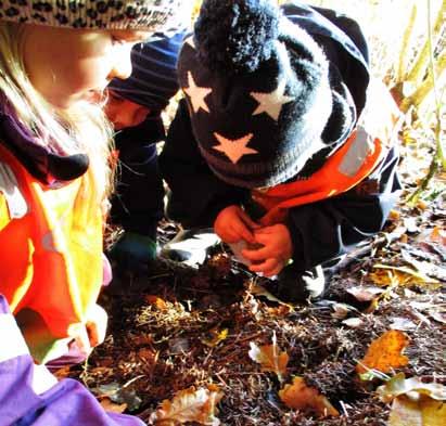 Barnehageåret 2016/17 vil vi ha følgende tradisjoner: Høstsuppe. Adventsamlinger i desember/delte samlinger tilpasset alder. Luciamarkering - Skolespirene går Luciatog til alle avdelinger.