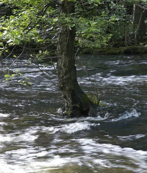 Oppgaver og utfordringer i naturforvaltningen e) Oppgaver knyttet mot: økt nedbør gir økt flom, avrenning og erosjon, påvirker