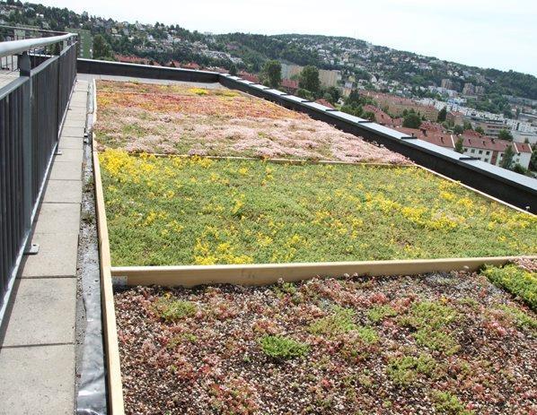 Naturbaserte løsninger - eksempler Grønne tak (vannhåndtering) Åpen overvannshåndtering: (gjen)åpne bekker, bassenger, regnbed Grønnstruktur Vegetasjon mot skred, erosjon (kantvegetasjon, skog)