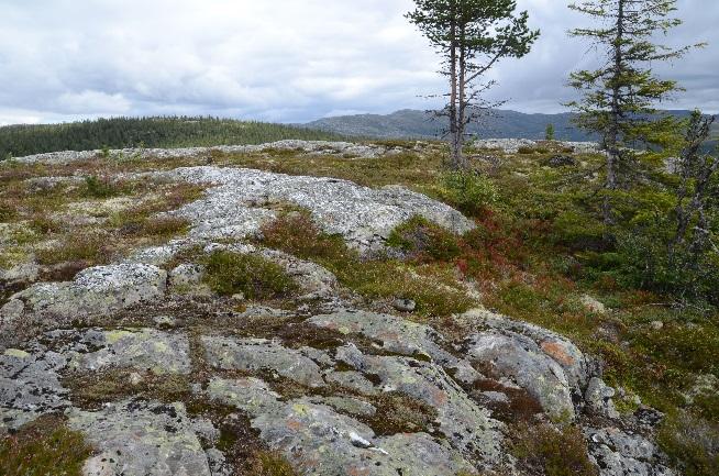 I forbindelse med videre planlegging er det viktig å være varsom med våtmark/myr, tjern, bekkedrag, markerte