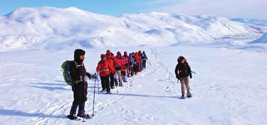 januar har Nord-Norge mørketid, men ser du på bildene, så er det ikke mørket som preger vinteren - det er