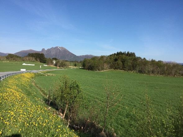 anleggsvirksomhet Art Bosetning-aktivitetsområde Askeladden ID 158327 Gnr /Gnr 115/4 Siste