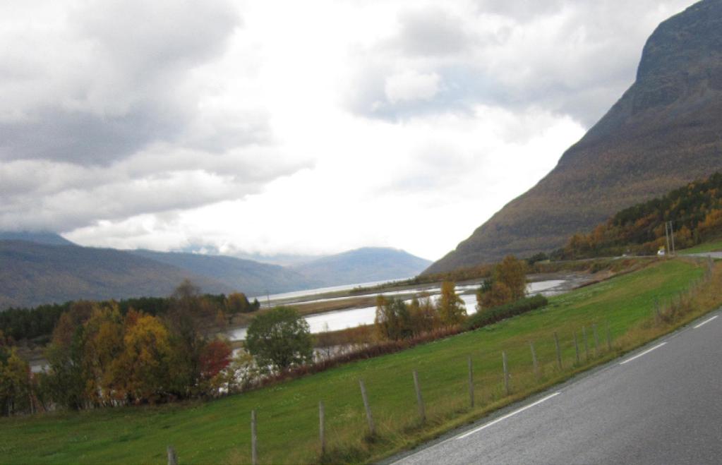 Delområde 3: Elvelandskap Gretteneset Delområdet favner det flate elvelandskapet Gretteneset, fra brua over Signaldalselva og til krysset ved Hatteng.