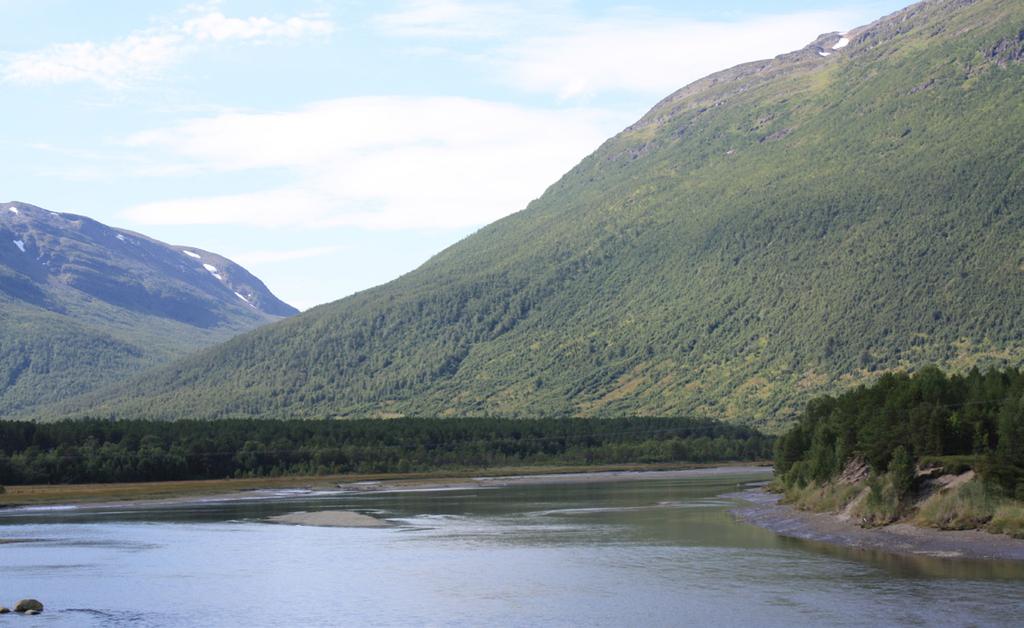 Fjorden, fjellene og vegetasjon rammer delområdet inn. - Vegetasjon Lokalt er furuskogen på sandbankene mellom elveløpet iøyenfallende.