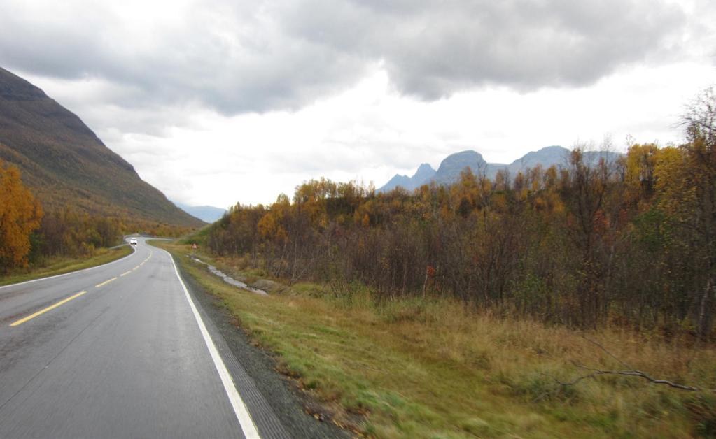 4.1 Enhetlige områder/ delområder med verdivurdering Delområde 1: Mosaikklandskap Delområdet beveger seg fra like sør for kommunegrensa mellom Balsfjord kommune og Storfjord kommune gjennom U-dalen