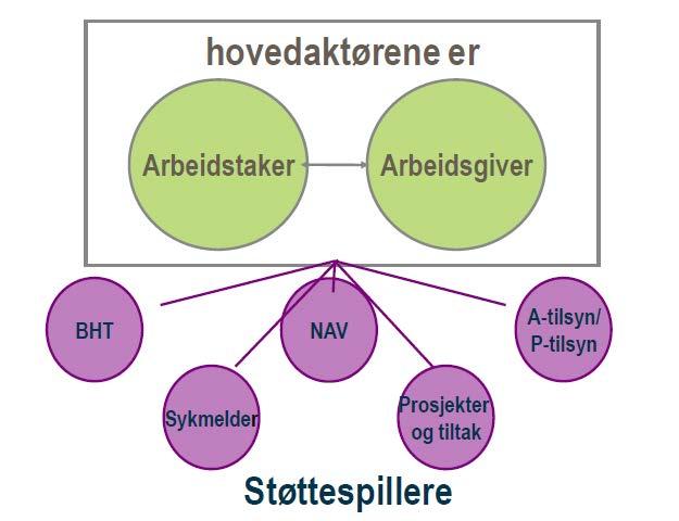 Aktører/roller på arbeidsplassen IK/ HMS rådg. Inter. Org.