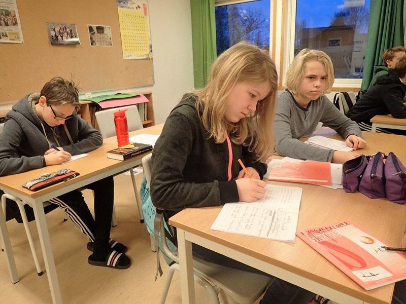 Hypotesene våre - stemmer/stemmer litt/stemmer ikke Julebrus er populært fordi det er sesongbestemt. Det er jul. Vane bestemmer hvilken julebrus man velger.