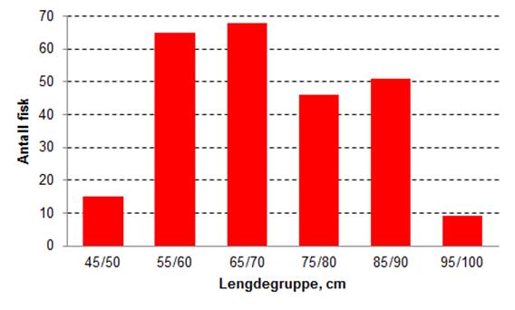 Figur 6: Antall villaks og sjøaure registrert i fisketrappen i Jørpelandsåna i 2015. Kumulativ kurve.