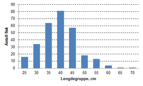 Figur 9: Lengdefordeling for 280 av 289 sjøaure fra fisketrappen i Jørpelandsåna i 2015. 5.0 Fangst av laks i 2015 Det ble i alt fanget 86 laks i Jørpelandsåna i 2015 (Tabell 5).