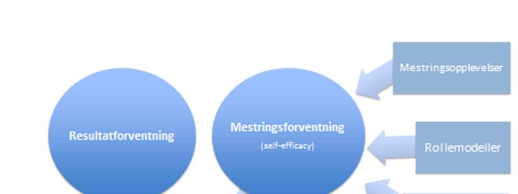 Figur 1 Mestringsforventning (self-efficacy) Bandura A. Social foundations of thought and action: a social cognitive theory. Englewoods Cliffs, NJ: Prentice Hall, 1986.