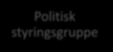 Organisering Politisk