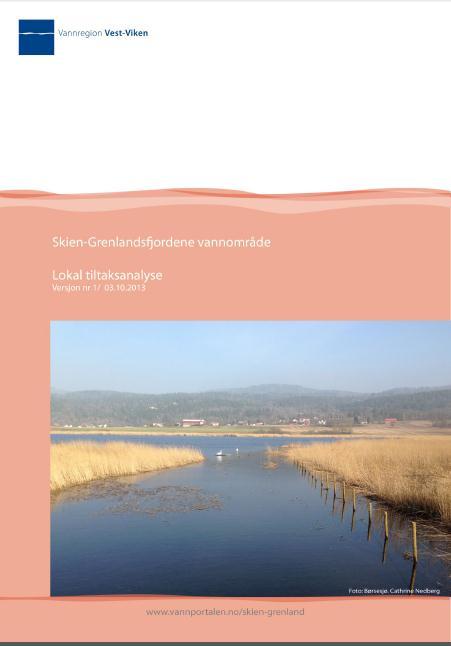 Lokal tiltaksanalyse Utarbeidet i 2013 Viser tiltak i vannforekomster i risiko for ikke å nå miljømålet Inneholder forslag