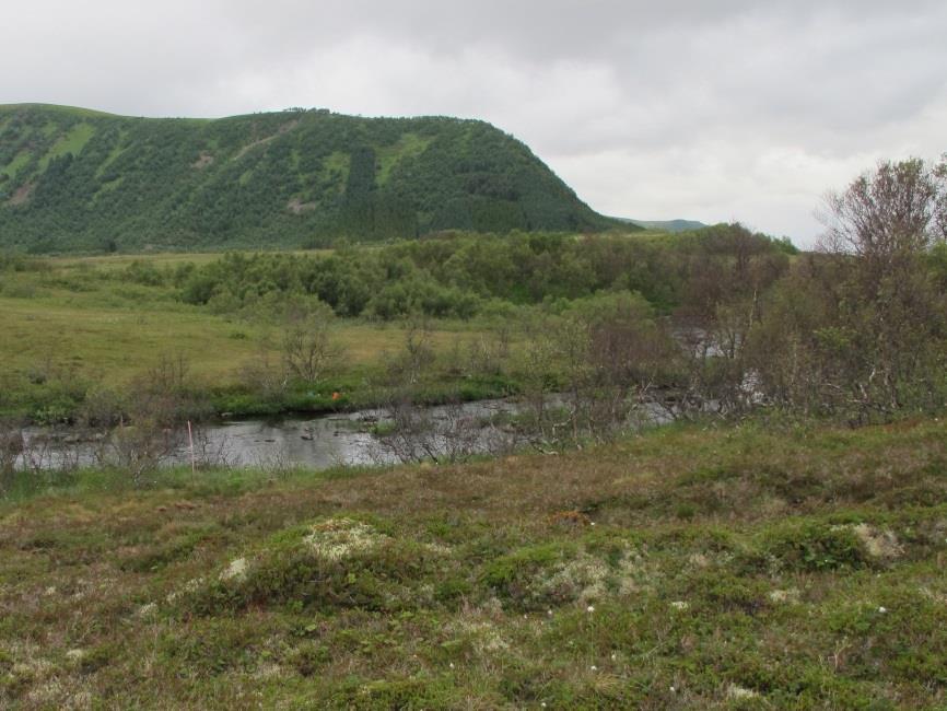 fra Grunnvatnet (10 m o.h.), og Skavdalselva (Åbergsjordselva) som renner inn i Grunnvatnet fra nord har utspring fra fjellområdet rundt Stortindvatnet (232 m o.h.). Ånesvatnet er det største vatnet i vassdraget (nær 4,5 km langt).