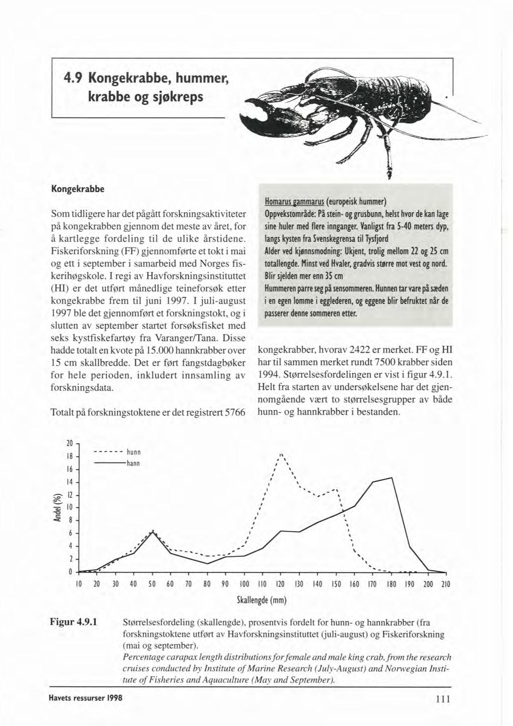 4.9 Kongekrabbe, hummer, krabbe og sjekreps Konge krab be Som tidligere har det pågått forskningsaktiviteter på kongekrabben gjennom det meste av året, for å kartlegge fordeling til de ulike