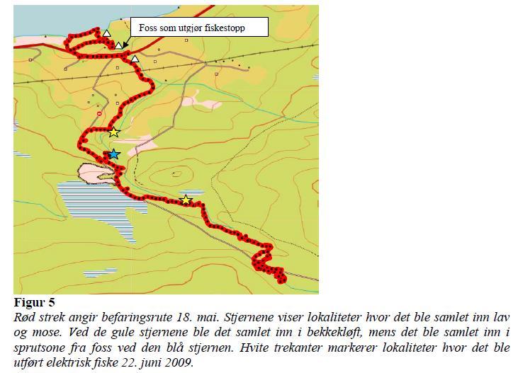 Side 6 4. Litt nærare om vurderingane som er gjort Sweco har i notatet av 13.9.2013 kommentert moglegheita for at naturtypen ravinedal finst i området.