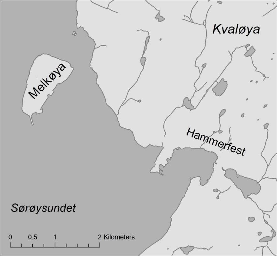 1 Innledning Denne rapporten har som hovedfokus krykkjene (Rissa tridactyla) som etablerte seg i fjellskjæringer på Melkøya i 2004, og som har ekspandert kraftig de siste årene.