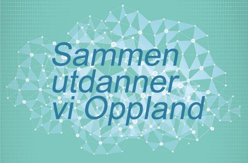 14.00 møteslutt m/lunsj Sted:, Øyer Opplandsforum holdes i tilknytning til kurs for tillitsvalgte med tema: Tenk om det går?