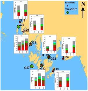 3.8.3 Bunnområdene På samtlige strandsonestasjoner har det vært en økning i antall taxa av alger og dyr siden 27 (Figur 33). Kun stasjon G23 i Løperen viste negativ endring mellom 29 og 2.