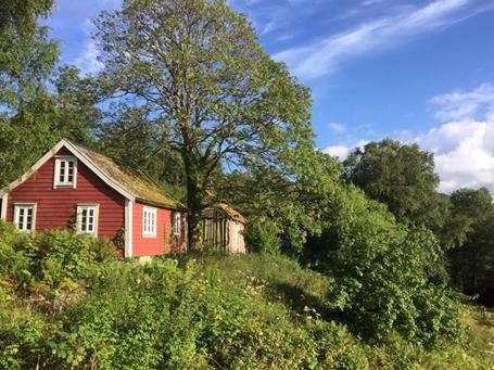 Nordmenn velger bort hjemmedød Å leve ansikt til ansikt med døden er sterkt Ved å institusjonalisere døden,