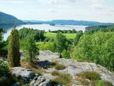 Beskrivelse: Fra boligfeltet får man en fantastisk utsikt mot Norsjø.