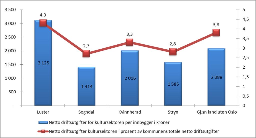 10 Kultur og kirke Kapitlet omfatter følgende funksjoner: 231 Aktivitetstilbud til barn og unge 370 Bibliotek 373 Kino 375 Museer 377 Kunstformidling 380 Idrett og tilskudd til andres idrettsanlegg