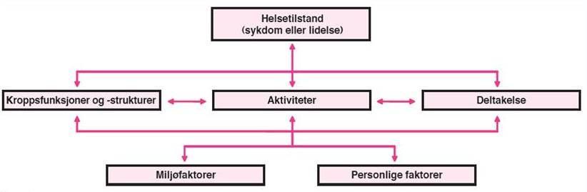 ICF Internasjonal klassifikasjon av