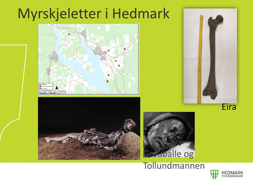 Myrskjeletteri Hedmark