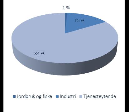 OM RÆLINGEN KOMMUNE Ulike forhold som befolkningsutvikling, bosetningsmønster og sammensetning av næringslivet legger forutsetninger for utviklingen av energiforbruket i kommunen.