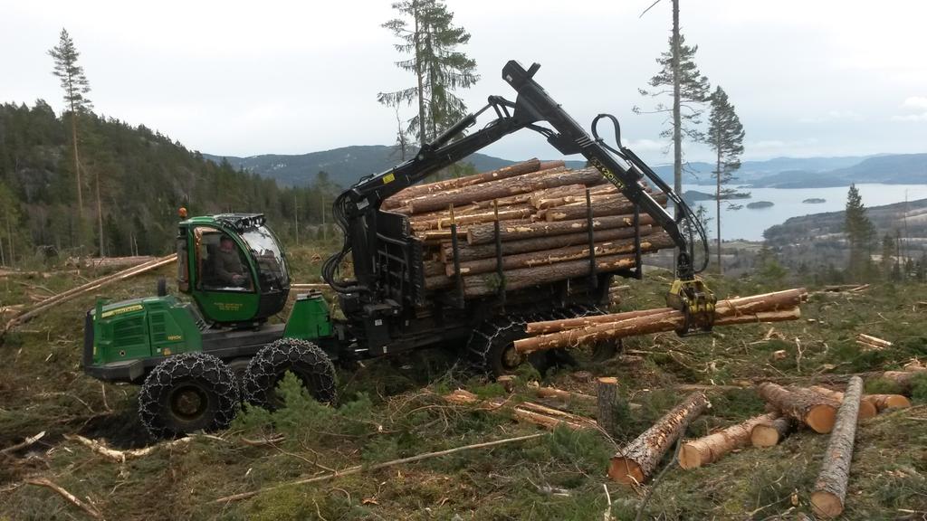Skogsmaskinentreprenør Rune