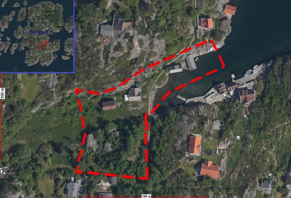 Kartutsnitt 1: Viser planområdets utstrekning sydøst på Borøya. Svanevågen ligger sørøst på Borøya.