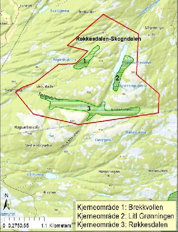 Området har tre kjerneområder: Brekkvollen, Litl-Grønningen og Røkkesdalen (Figur 5). Kritierier og verdisetting er nærmere beskrevet i vedlegg 4. Figur 5: Kjerneområdene i Røkkesdalen-Skogndalen.