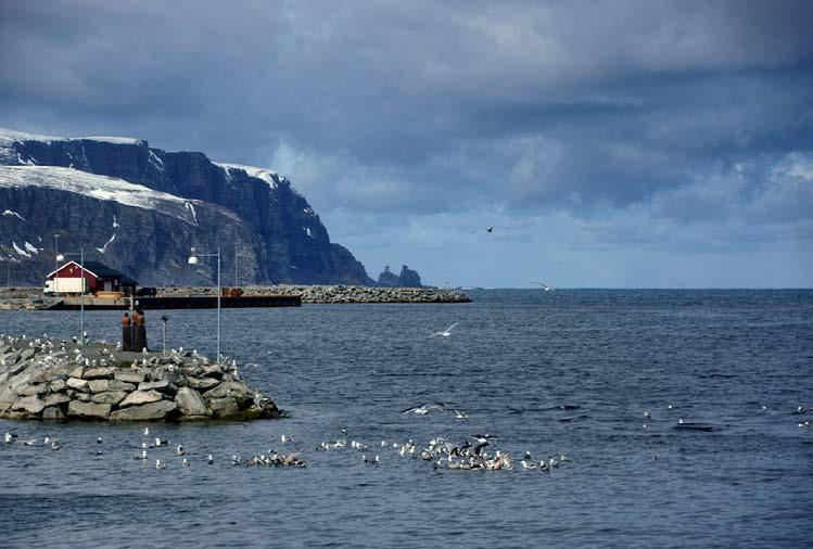 3. Vannmiljøet i vannregion Finnmark Vannregion Finnmark består av Finnmark fylke, inkludert kystvannet ut til en nautisk mil utenfor grunnlinjen.