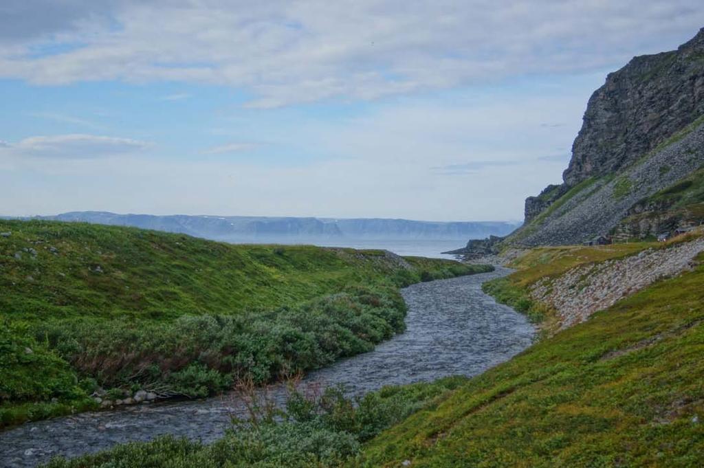 Stuorrajohka/Storelva som renner ut i Tanafjorden ved Store Molvik i Berlevåg, Tana vannområde. Foto: Frank Martin Ingilæ.