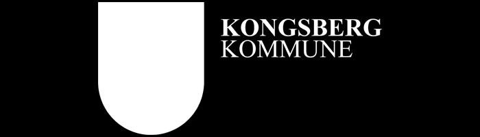 NMK Kongsberg Gokart kan ikke gjennomføre sine aktiviteter og et stort løp