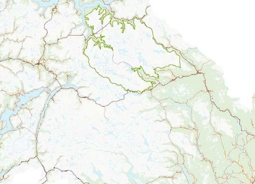 Relativt stabil vinterbestand I Nordfjella, men sett over tid har bestanden her vært påvirket av innvandring fra Hardangervidda CA 10 00o vandret inn fra HV på slutten av 1970 tallet Dette medførte