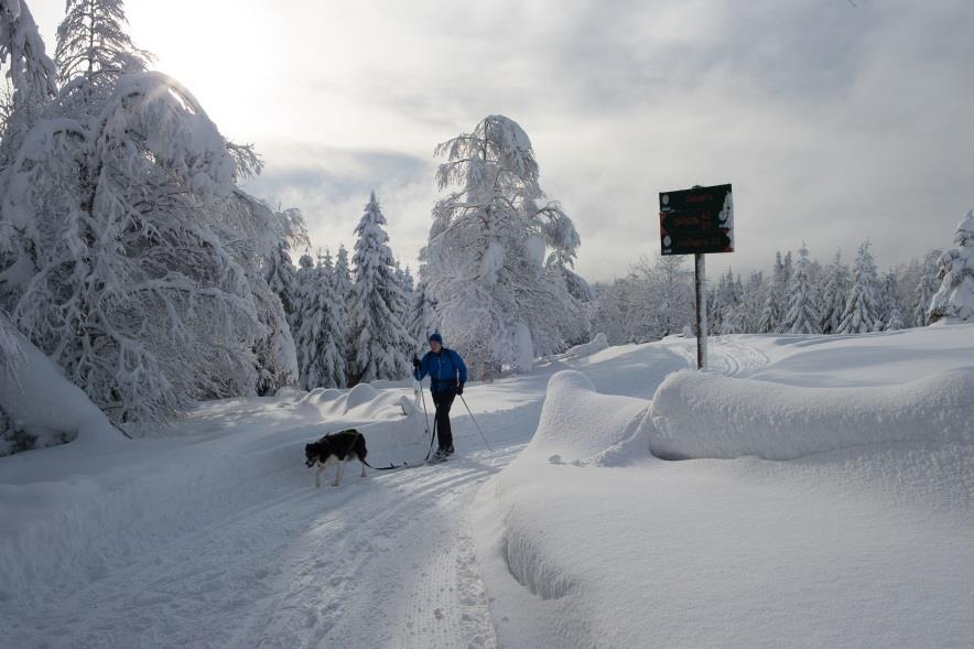 Arbeidet hittil med folkehelseoversiktene har skissert tre hovedutfordringer i Søndre Land: Kosthold og fysisk aktivitet Nasjonale tall, og internasjonale anbefalinger peker på feil kosthold og