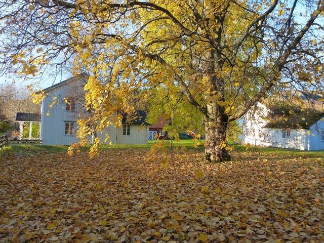 HELGELAND MUSEUM Avd.