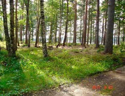 Tiltaket inngår i planen fra 2005. Gjenstående trær som er en blanding av bar- og lauvtrær utvikler seg bra ettersom kronene har fått bedre plass og lys.