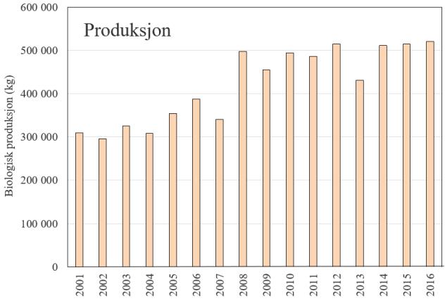 UTVIKLING I DRIFTEN VED ANLEGGENE Fram til 2004 ble det produsert omtrent 300 tonn fisk årlig i anleggene oppe i Sævareidvassdraget, mens det siden 2008 har blitt produsert vel 500 tonn årlig.