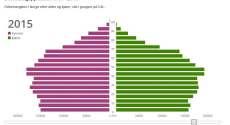 Demografisk modell Selje kommune Landet