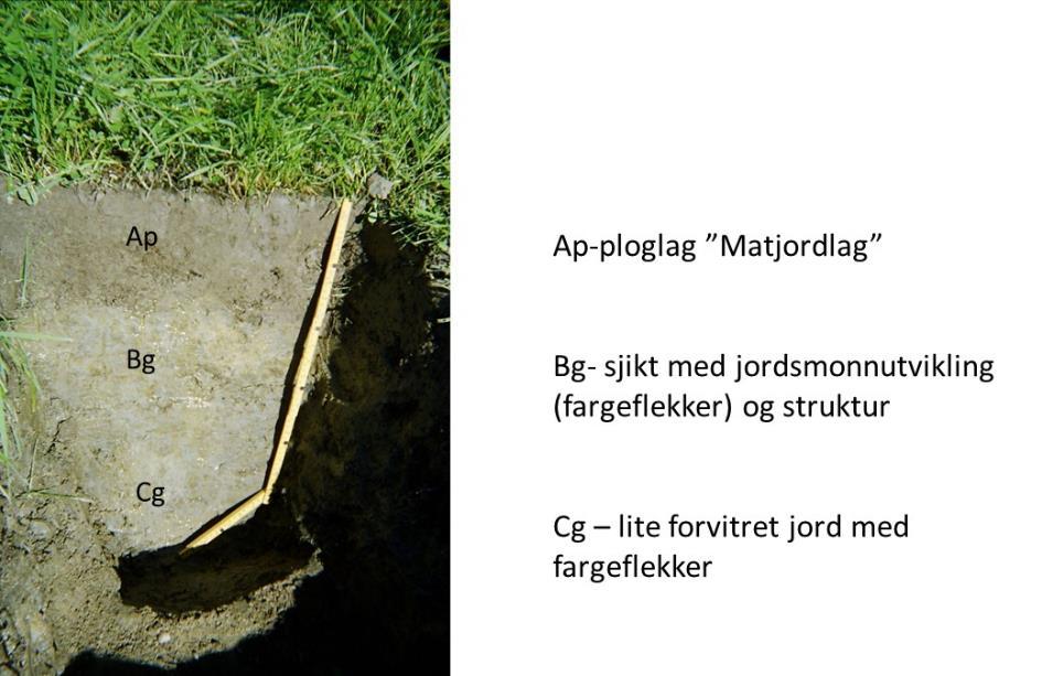 Figur 2.4: Inndeling av jordprofil i ulike sjikt (Foto: Trond Knapp Haraldsen) Størstedelen av jordbruksarealet langs veitraseen for E 18 gjennom Ås og Ski er jordsmonnskartlagt.