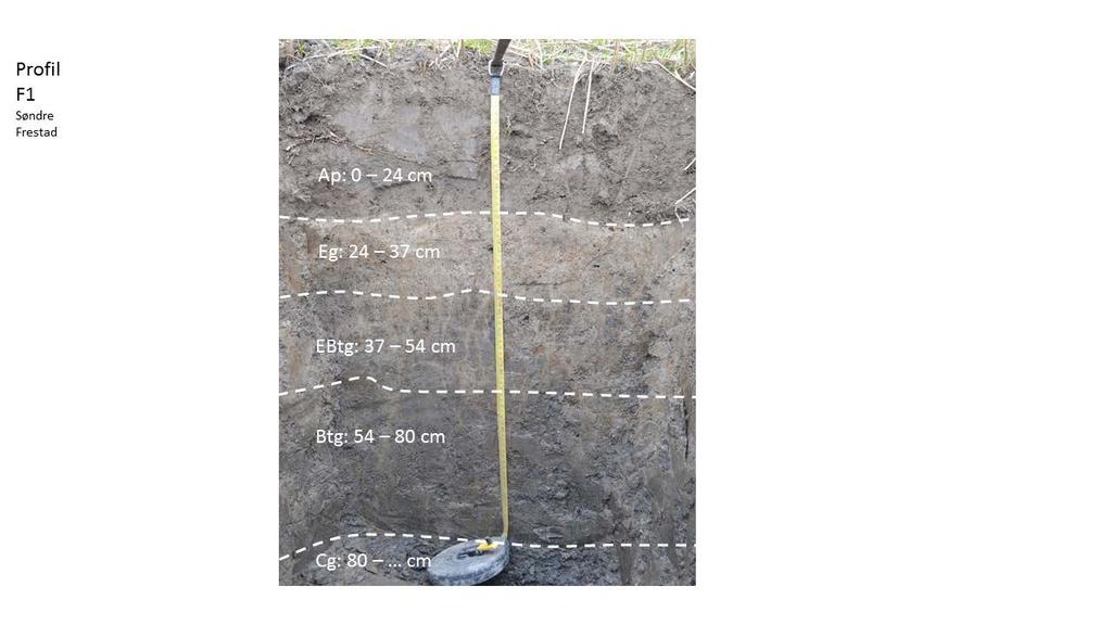 Figur3.22: Jordprofil F1 på Frestad søndre (Foto: Trond Knapp Haraldsen) 3.2.5 Audenbøl Ved Audenbøl koer veien ut av tunnel fra vest i en svært bratt skråning med flere oppstikkende fjellblotninger.