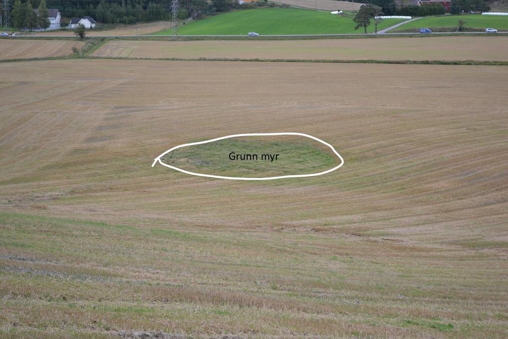 Figur 3.28: Grunn myr nedenfor skråning innenfor regulert område for veianlegget på Audenbøl (Foto: Trond Knapp Haraldsen). 3.2.6 Retvet Når veitraseen igjen koer ut på dyrka jord på Retvet sørøst for «Kvilesjøluggen», koer en på en flate med leirjord med Stagnosol (Figur 3.