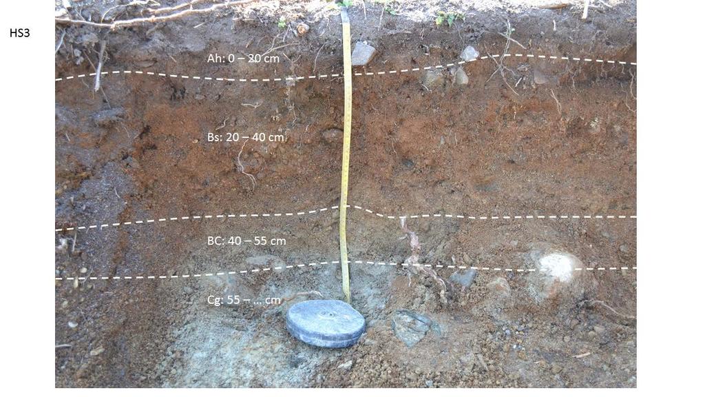 Trond Knapp Haraldsen) 3: Jordprofil HS3