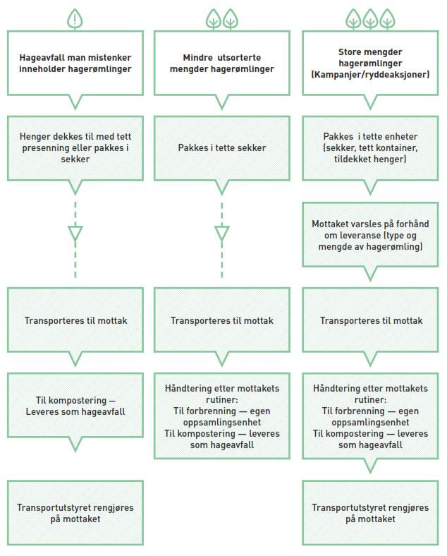 11 4 HÅNDTERING AV HAGERØMLINGER I veilederen er innsamling og håndtering av hagerømlinger delt inn i 3 fokusområder: Hageavfall som man mistenker kan inneholde hagerømlinger Mindre mengder