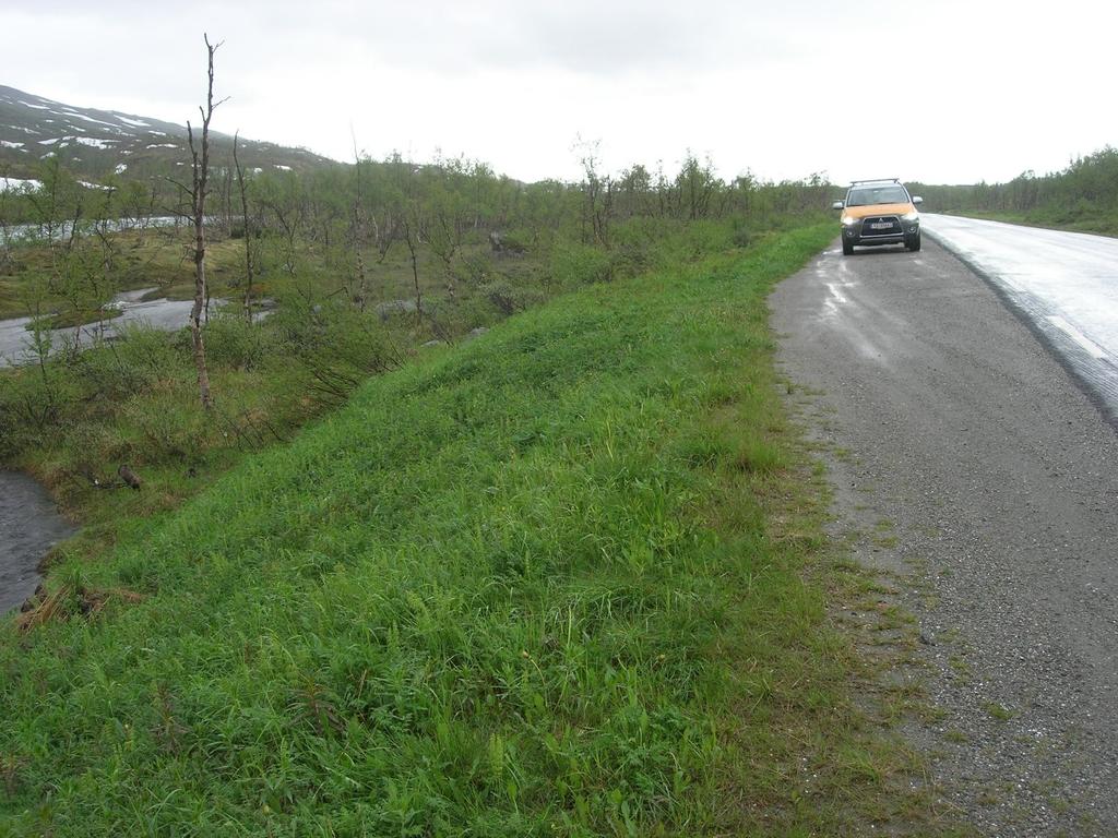 Figur 21 Bildet som viser elva ved punkt 0 og skråningen opp til nåværende veibane. Foto: Statens Vegvesen.
