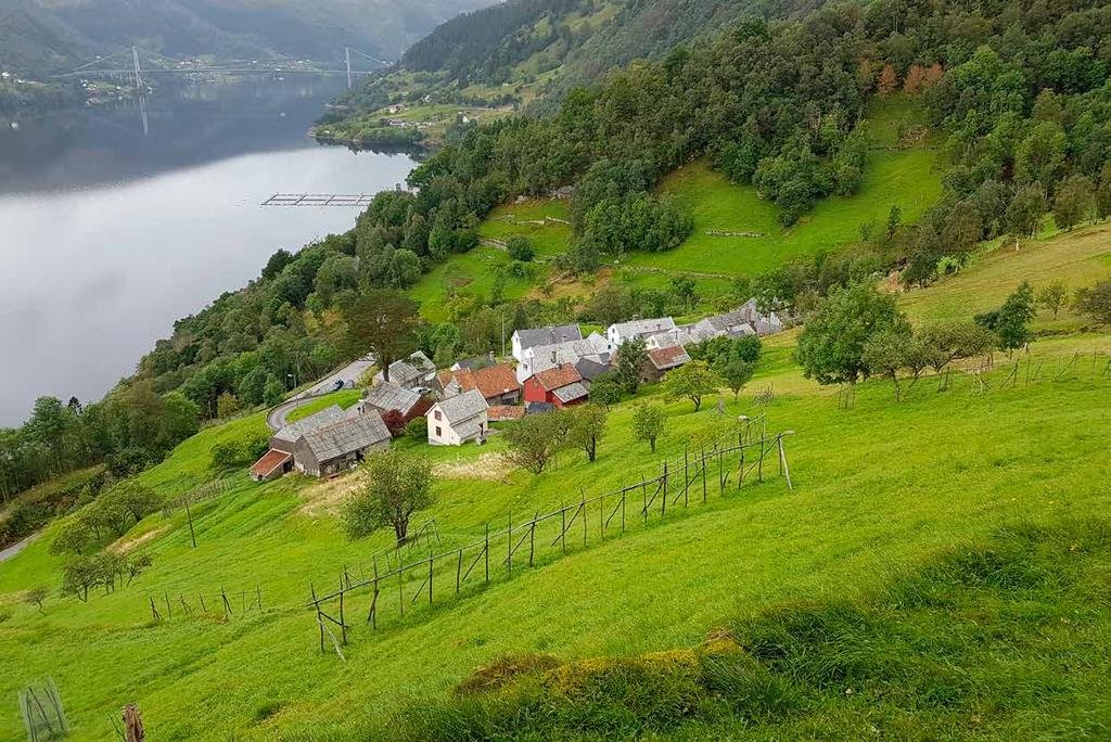 KULTUR OG IDRETT: Samordning av mål og verkemiddel Hordaland fylkeskommune skal leggje til rette for eit godt og mangfaldig tilbod av kulturog idrettsaktivitetar i heile Hordaland.