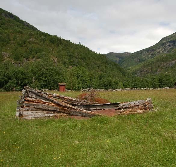 no). Kulturminne. I tilknyting til slåttemarkene finn ein gjerne rydningsrøyser, samt løer og tufter etter slike.