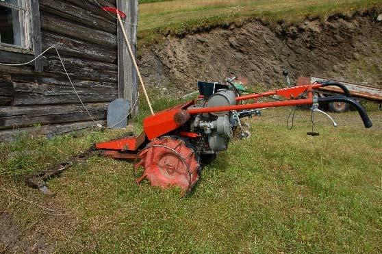 Einskilde år kan det også vere aktuelt å leggje slåtten noko seinare for å sikre at plantane set mogne frø.